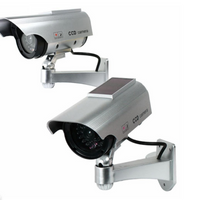 **Set 2 camere de supraveghere video - FALSE