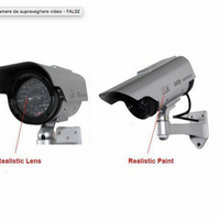 **Set 2 camere de supraveghere video - FALSE