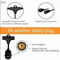 **GHIRLANDA LUMINOASA SOLARA 10 M CU 10 BECURI LED IP45