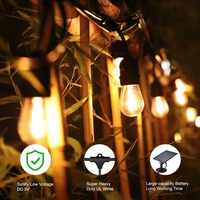 **GHIRLANDA LUMINOASA SOLARA 10 M CU 10 BECURI LED IP45