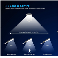 Lampa Stradala LED Cu Incarcare Solara, 4U®, 100W, Senzor Miscare, Acumulator Intern, Telecomanda