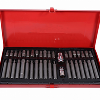 '- Trusa biti torx 41 piese , Rico Professional