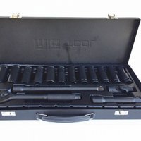 '- Trusa profesionala tubulare impact 17 piese