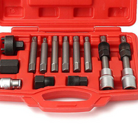 '- Trusa pentru montare si demontare fulie alternator, 13 piese