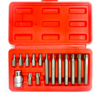 '- Set capete biti Torx H10, 15 piese