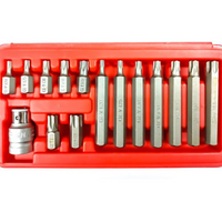'- Set capete biti Torx H10, 15 piese