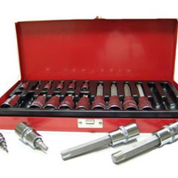 '- Trusa biti, torx T30/70, T20/60, T10/40, 18 piese