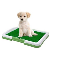 NOU: Toaleta cu iarba artificiala pentru animale, Puppy Potty Pad