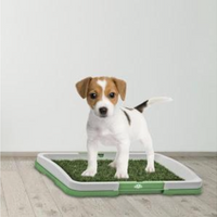 NOU: Toaleta cu iarba artificiala pentru animale, Puppy Potty Pad