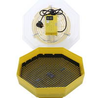 NOU: INCUBATOR OUA CLEO 5T CU TERMOMETRU