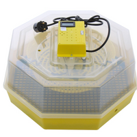 NOU: INCUBATOR OUA CLEO 5T CU TERMOMETRU