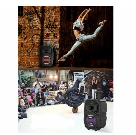 Boxa Portabila foarte puternica + Cadou Microfon Karaoke (zqs-6111)